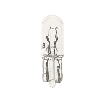 #86 Bulbs (box of 10)